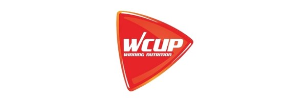 Wcup Brasil